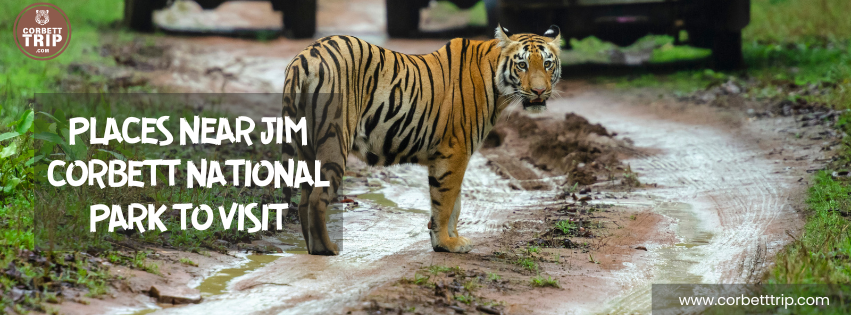 Places Near Jim Corbett National Park to Visit – Complete Travel Guide