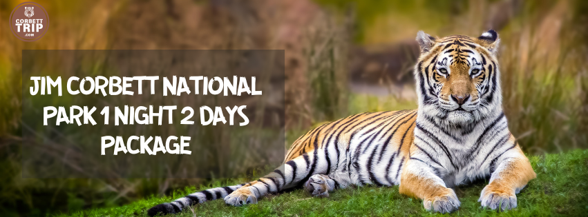 Jim Corbett National Park 1 Night 2 Days Package