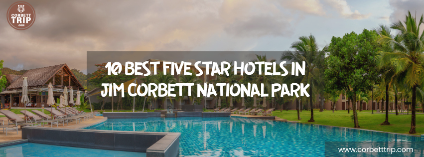 10 Best Five Star Hotels in Jim Corbett National Park