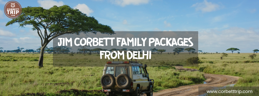 Jim Corbett Family Packages from Delhi — Best Deals for a Wild Getaway