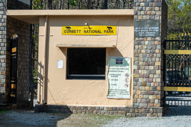 About Corbett