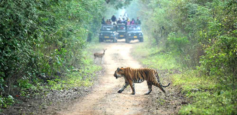 Corbett Weekend Tour